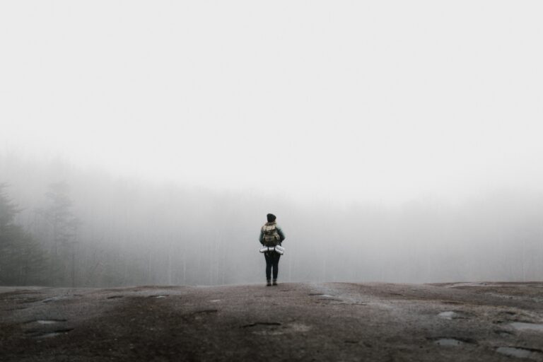 a person standing in the gray mist, the distance lost in fog.